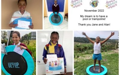 Trampoline or swimming pool