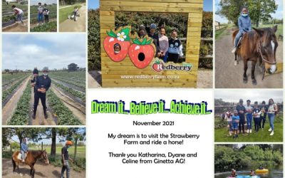 De dag doorbrengen op de Strawberry Farm