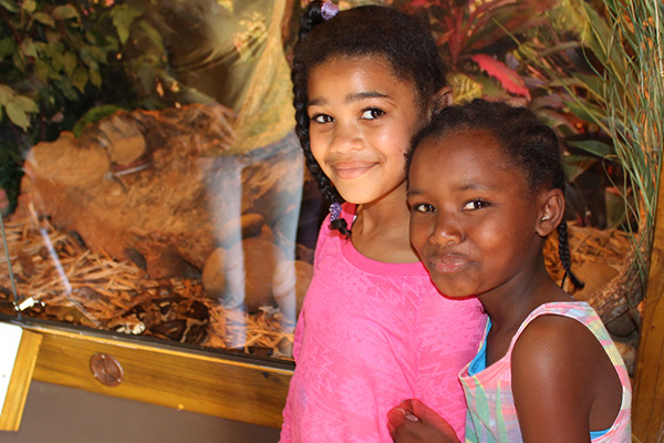 23, 25 September 2013 – Jukani Wildlife Sanctuary outings