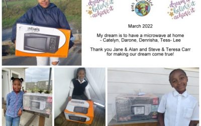 A microwave for my home