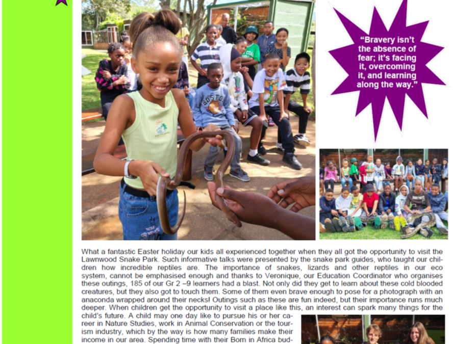 Newsletter May 2026